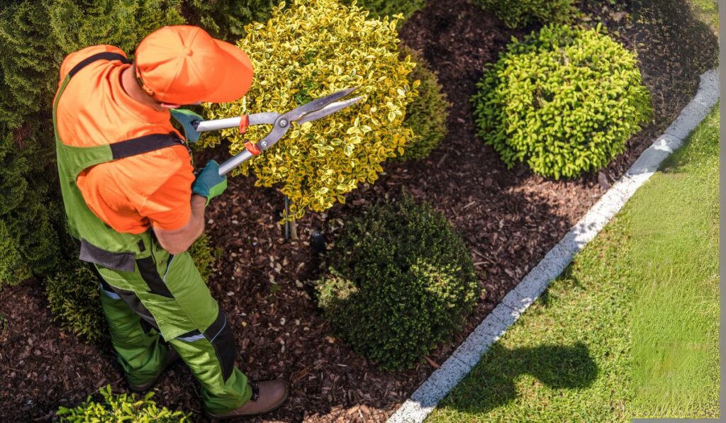 What Legal Permissions Do You Need to Prune Protected Trees
